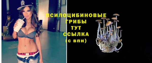 амфетамин Богданович