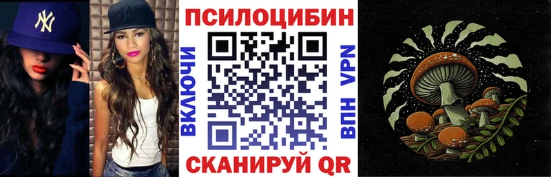Галлюциногенные грибы Psilocybe  наркота  hydra ссылка  Красавино 